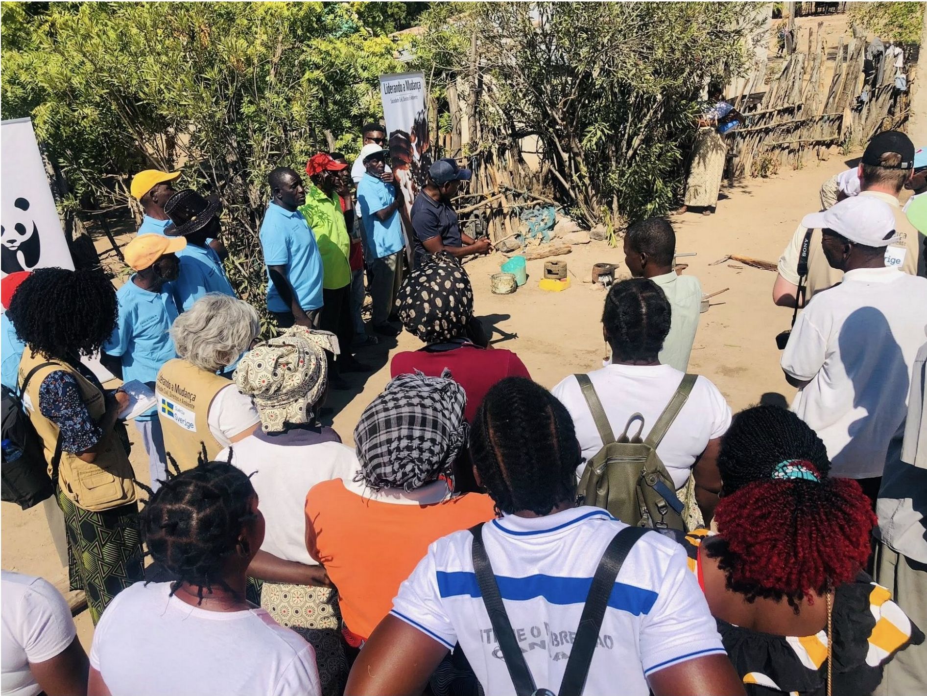 Formação ambiental WWF-Moçambique